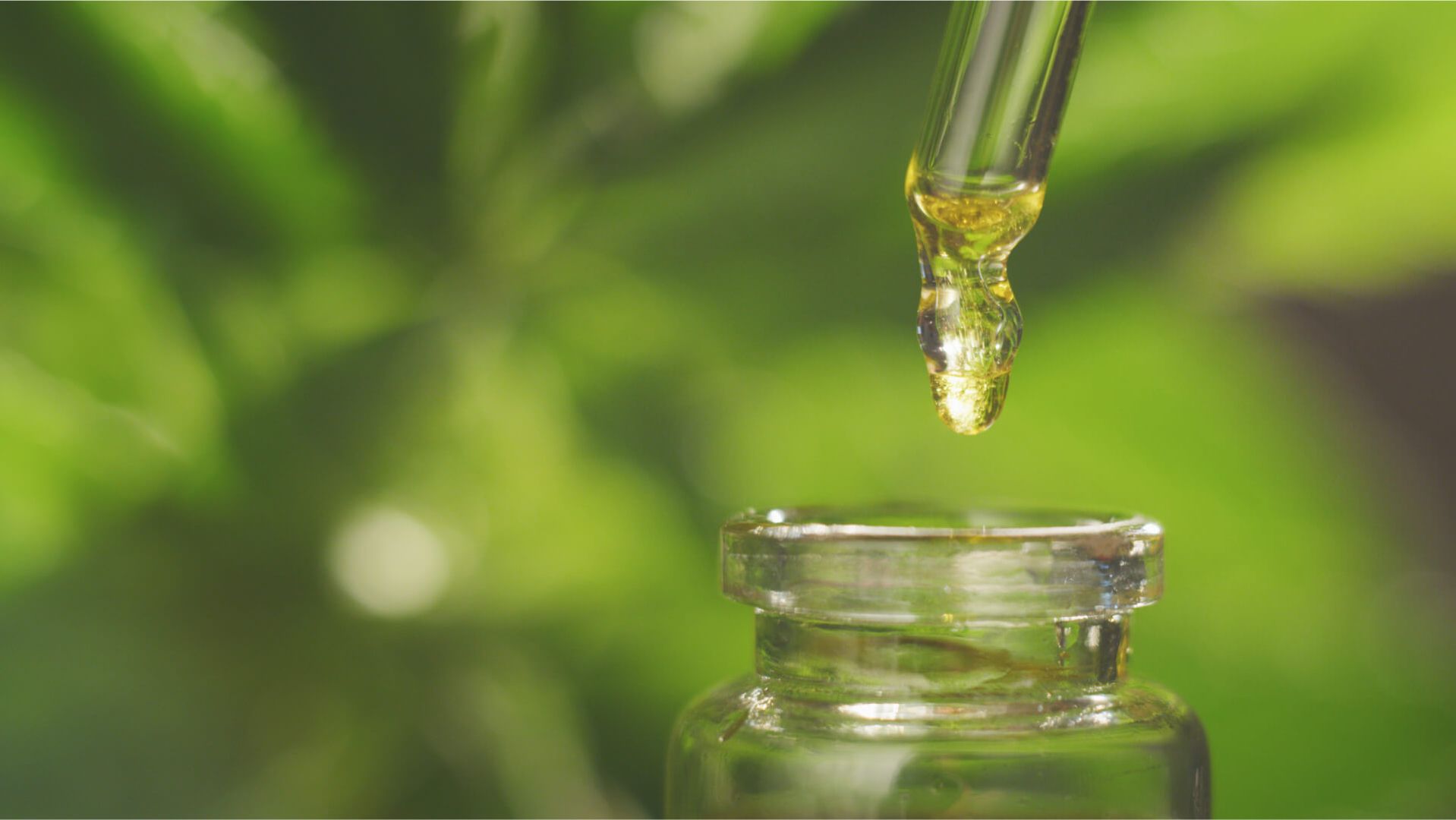 Cannabisextrakte